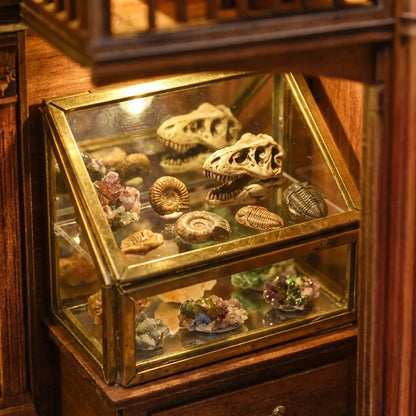 Fossil Museum Book Nook - fossil display case